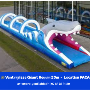 Ventriglisse (Requin)