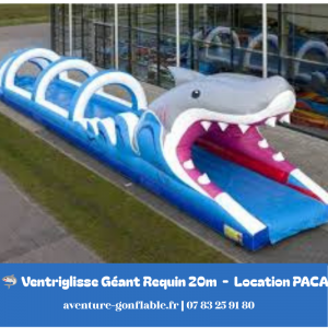 Ventriglisse (Requin)