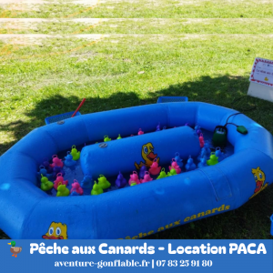 Pêche aux Canards