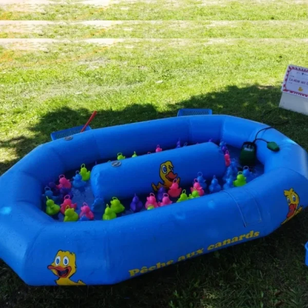 Pêche aux canards