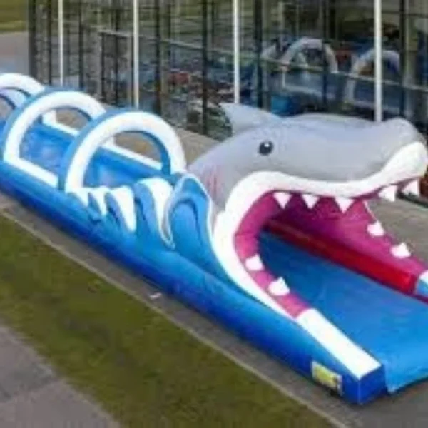 Ventriglisse (Requin)