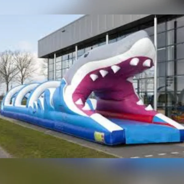 Ventriglisse (Requin)